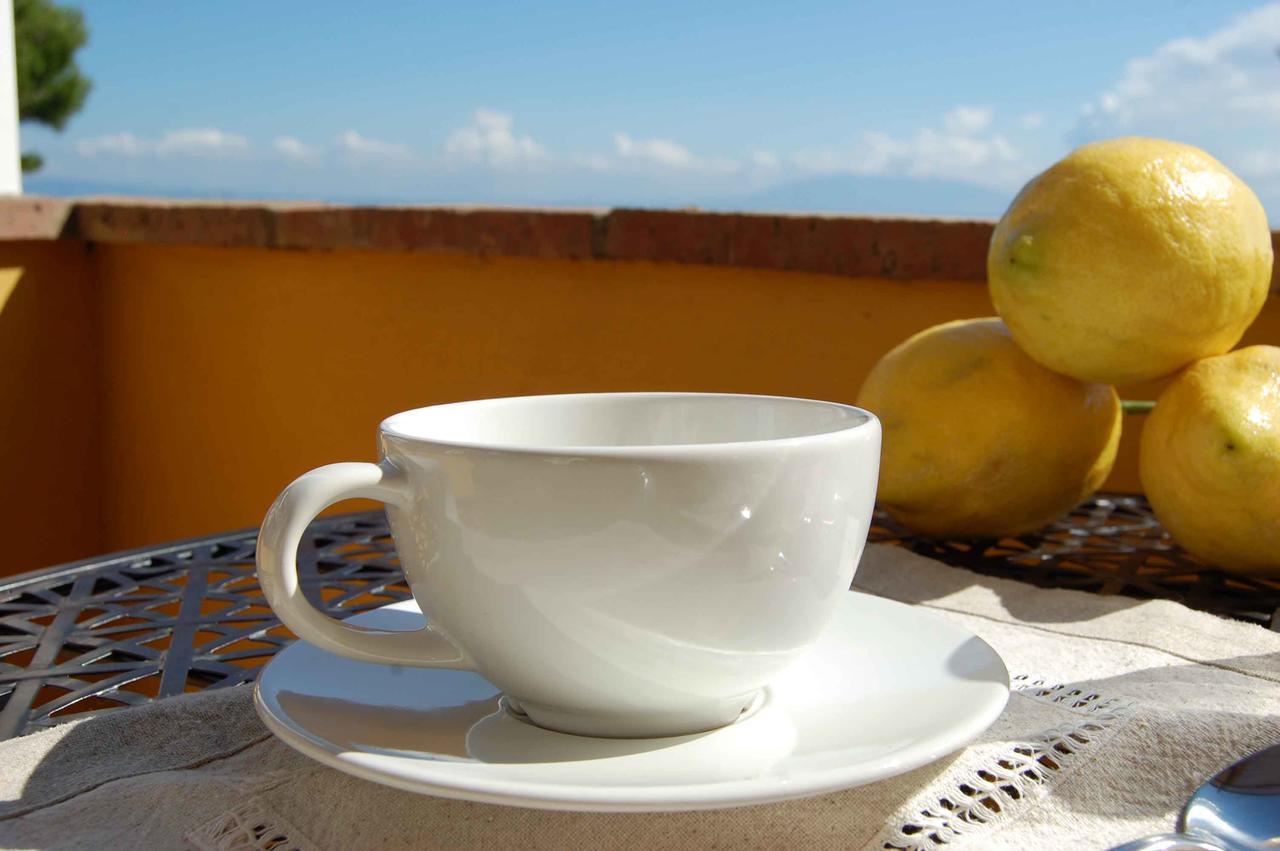 La Terrazza Sul Mare Bed & Breakfast 2*
